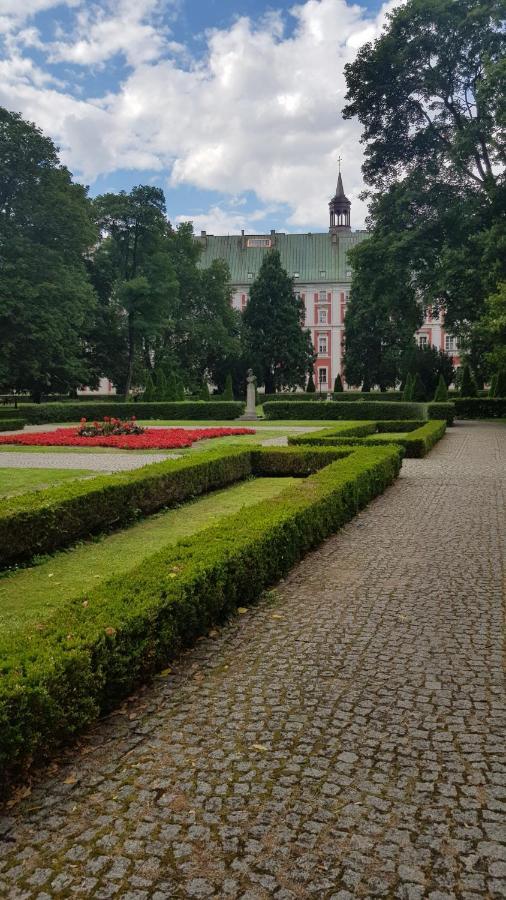 Chopin Park Lux Apartment, Self Check-In 24H, Free Parking, Air-Conditioning Poznan Exterior foto